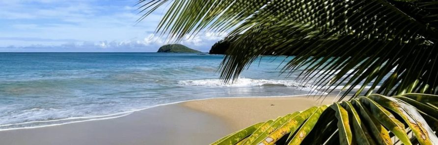Découvrez l&rsquo;îlet le plus photographié du Nord Basse-Terre